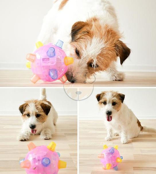 Rolig interaktiv hundleksak som stimulerar din hund, perfekt för innelek.