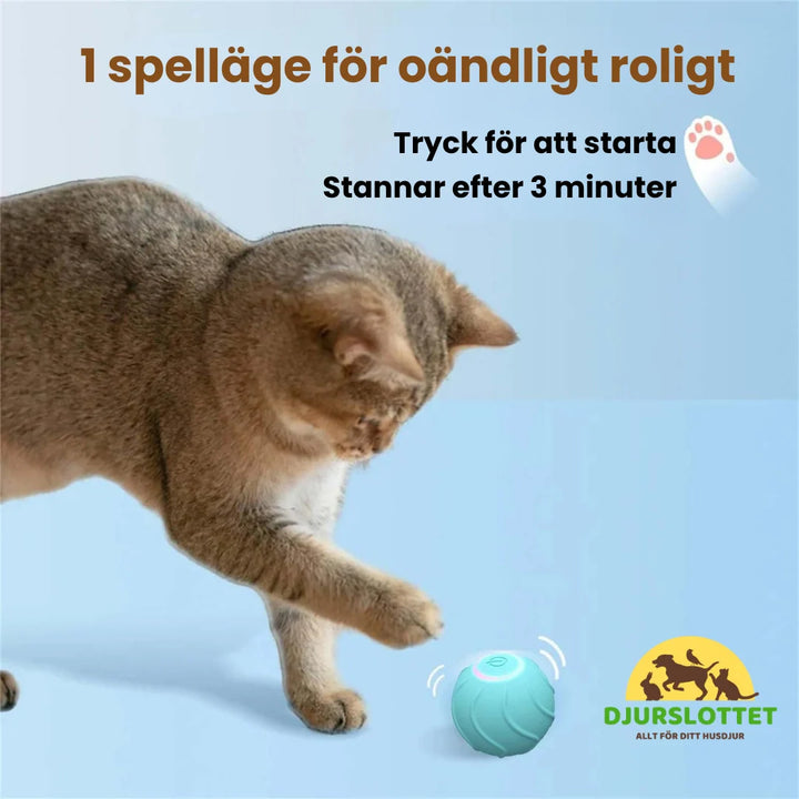 Hållbar interaktiv boll som kattleksak, perfekt för ensam lek och aktivering av husdjur.