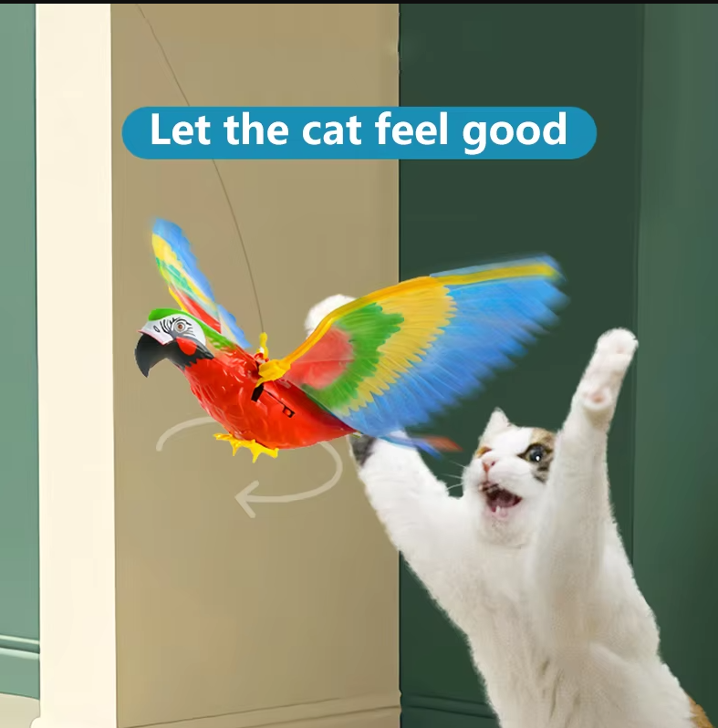 Katt leker med flygande örnleksak, stimulerar jaktinstinkter för aktiv innekatt.