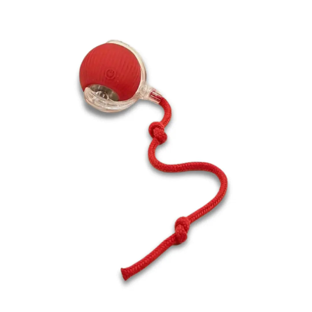 Interaktiv kattleksak Spinball för lekfulla katter. Elektronisk boll ger stimulans och aktivitet.