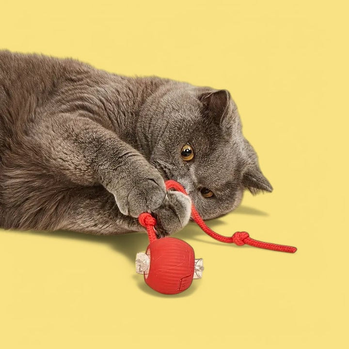 Elektronisk Spinball kattleksak som stimulerar katten. Främjar lek och aktivitet för husdjur.