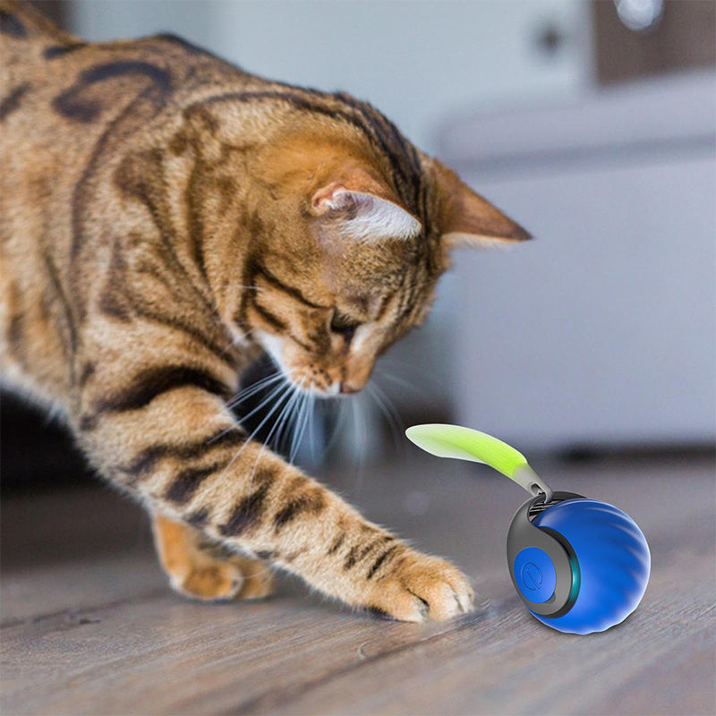 Interaktiv leksak för husdjur med rörelsedetektion, justerbara hastigheter, färgglad med rund form på träyta.