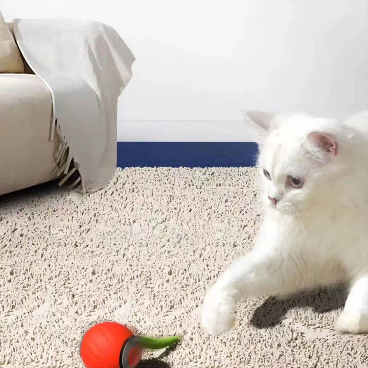 Interaktiv leksak för husdjur med rörelsedetektion, justerbara hastigheter, färgglad med rund form på träyta.