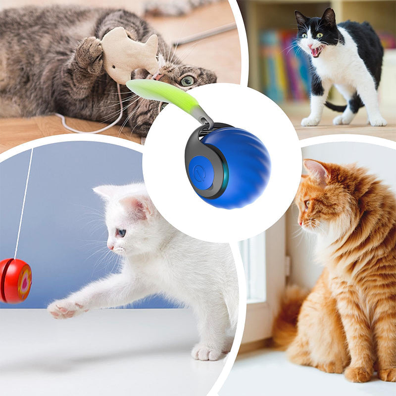 Interaktiv leksak för husdjur med rörelsedetektion, justerbara hastigheter, färgglad med rund form på träyta.