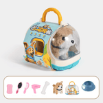 Corgi