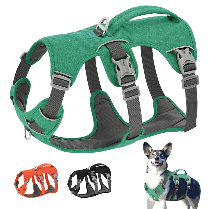 Justerbar NobleWalk hundsele i nylon med reflexer för säkerhet och komfort på promenader, svart färg.