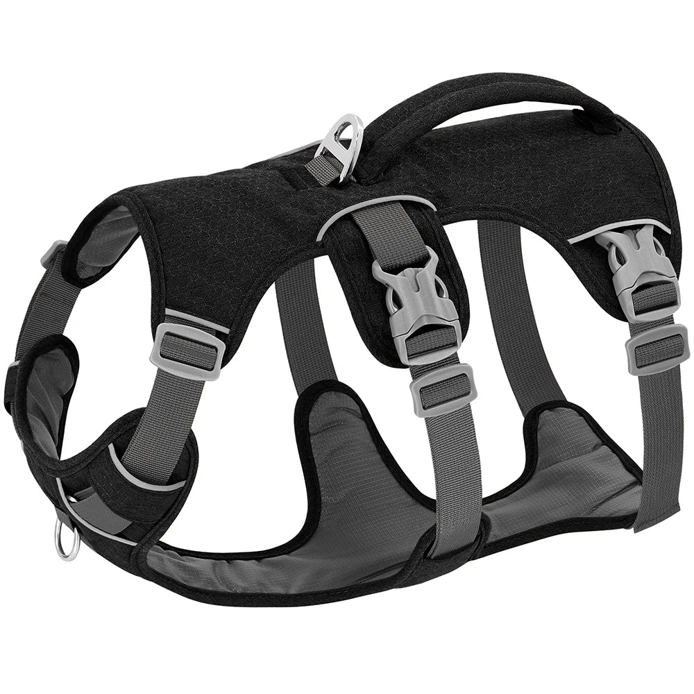 NobleWalk reflexsele för hund, ventilerande nylon för optimal komfort under promenader och träning, hög säkerhet.