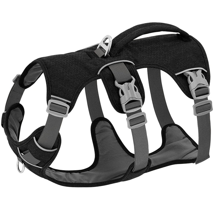 NobleWalk reflexsele för hund, ventilerande nylon för optimal komfort under promenader och träning, hög säkerhet.