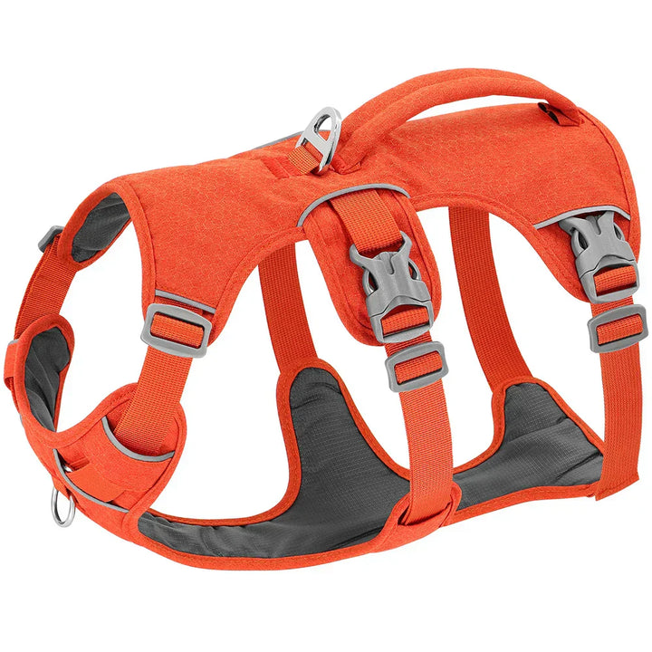 Hållbar justerbar NobleWalk hundsele i ventilerande nylon, perfekt för dagliga promenader och bekväm passform.