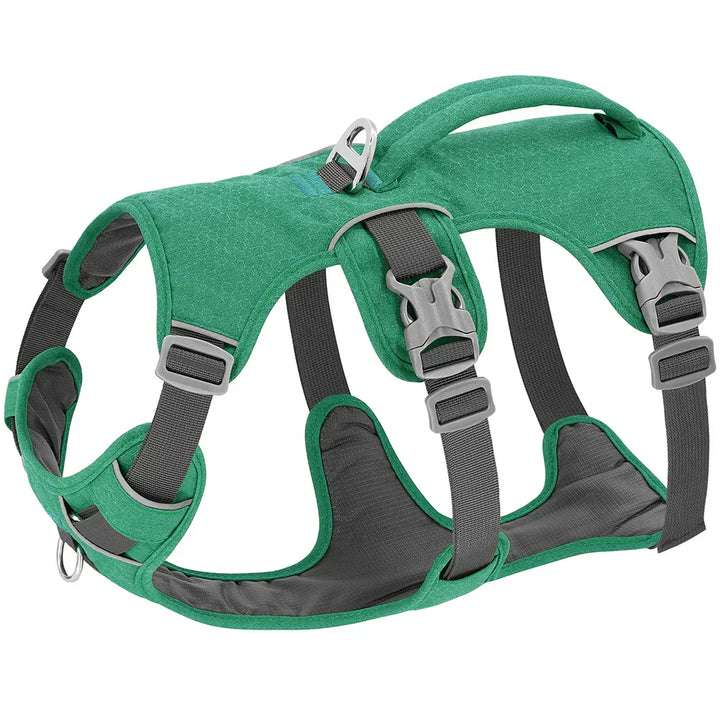 NobleWalk säkerhetssele med kraftiga reflexer för hund, justerbar passform och ventilerande material för alla väder.