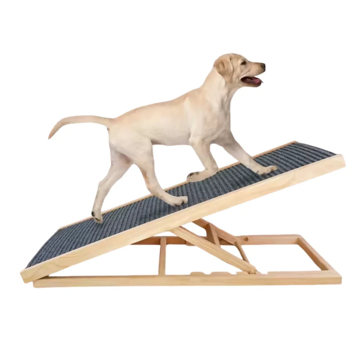 Hund använder justerbar träramp för att enkelt klättra upp på soffan, skonsam ledvård.