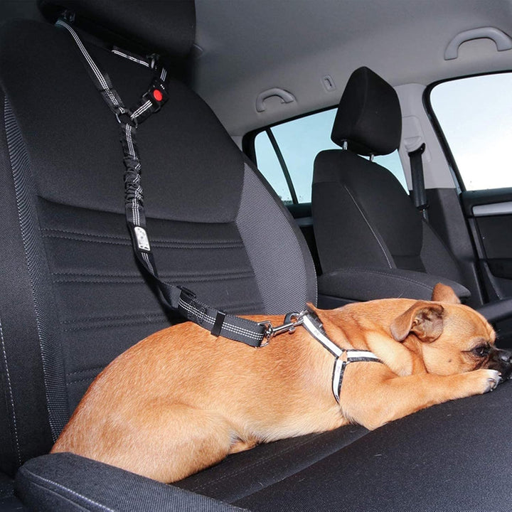 Slitstarkt hundbilbälte för hundsäkerhet i bilen. Ett tryggt djurtillbehör för alla bilresor.