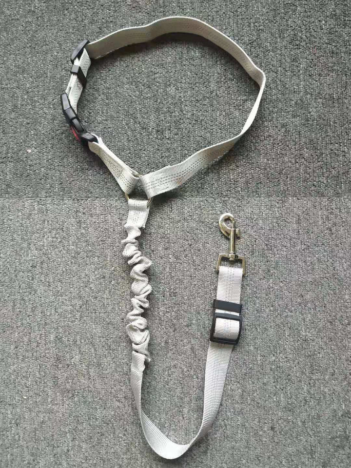 Säkerhet för hund i bilen med detta justerbara bilbälte. Perfekt för korta och långa bilresor.