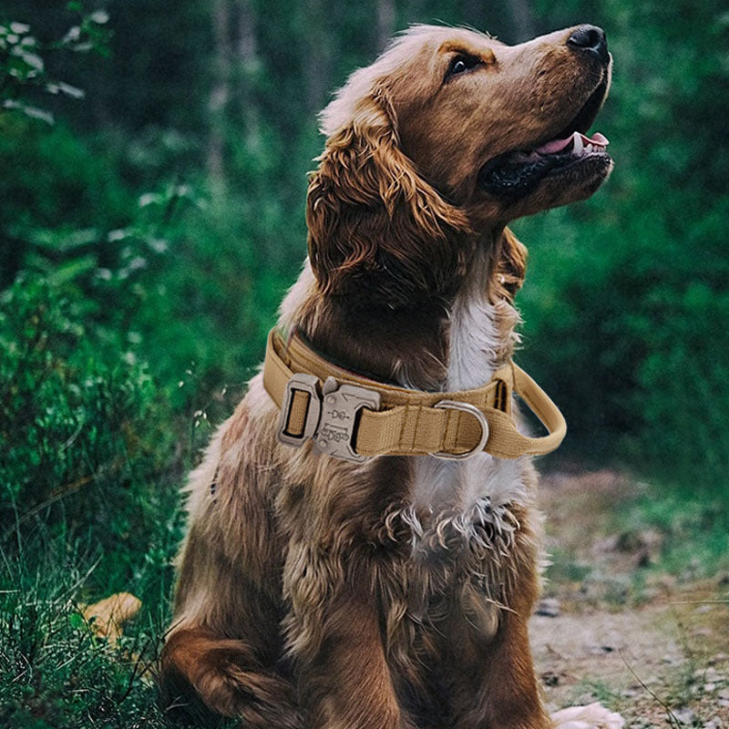 "Justerbart hundhalsband i nylon med handtag, grön färg, ger kontroll och komfort under promenader och äventyr."