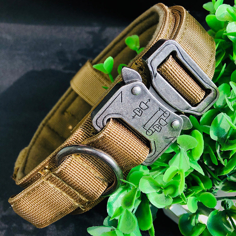 "Justerbart hundhalsband i nylon med handtag, grön färg, ger kontroll och komfort under promenader och äventyr."