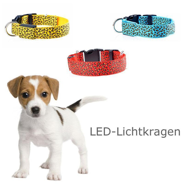 "Justerbart LED hundhalsband för nattbruk, nylon, synligt i mörker med blått, rött eller gult ljus, unisex design."