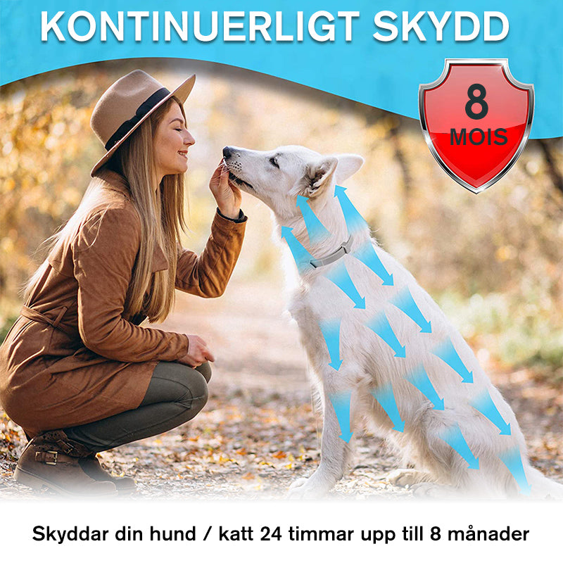 "Justerbart vattentätt silikonhundhalsband i flerfärger, insektsavvisande, skydd mot loppor och fästingar."