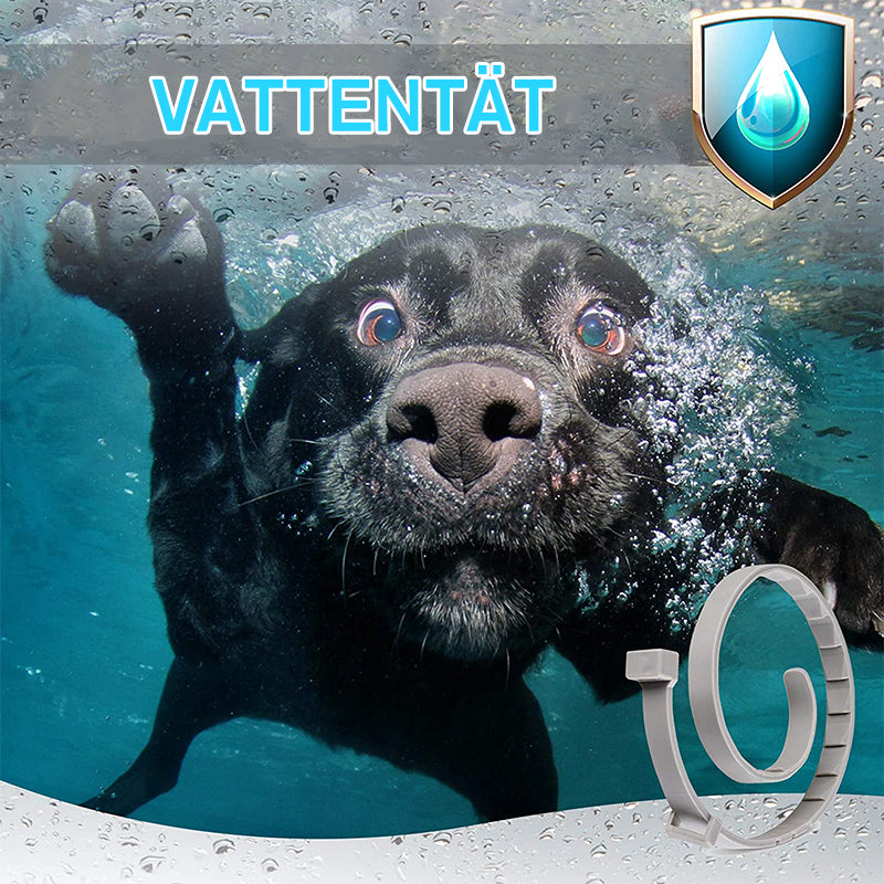 "Justerbart vattentätt silikonhundhalsband i flerfärger, insektsavvisande, skydd mot loppor och fästingar."