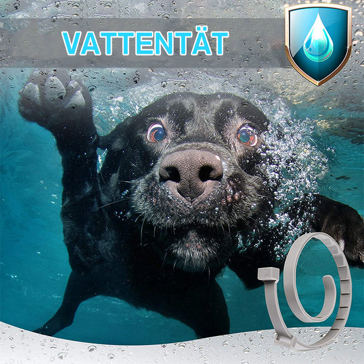 "Justerbart vattentätt silikonhundhalsband i flerfärger, insektsavvisande, skydd mot loppor och fästingar."