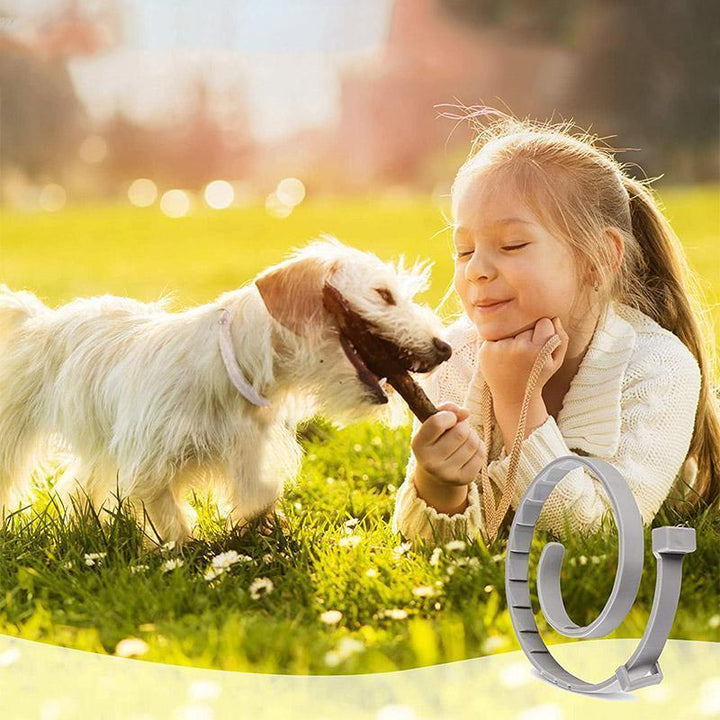 "Justerbart vattentätt silikonhundhalsband i flerfärger, insektsavvisande, skydd mot loppor och fästingar."