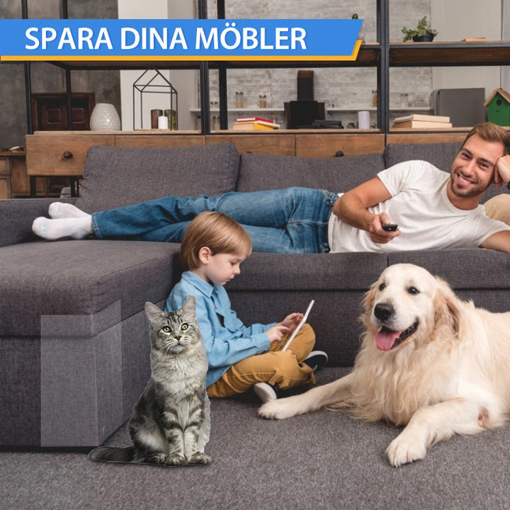 "Katter reptåliga transparent dubbelpolerad möbelskyddstejp på soffa, skyddar mot klösmärken. Inkluderar spikar."