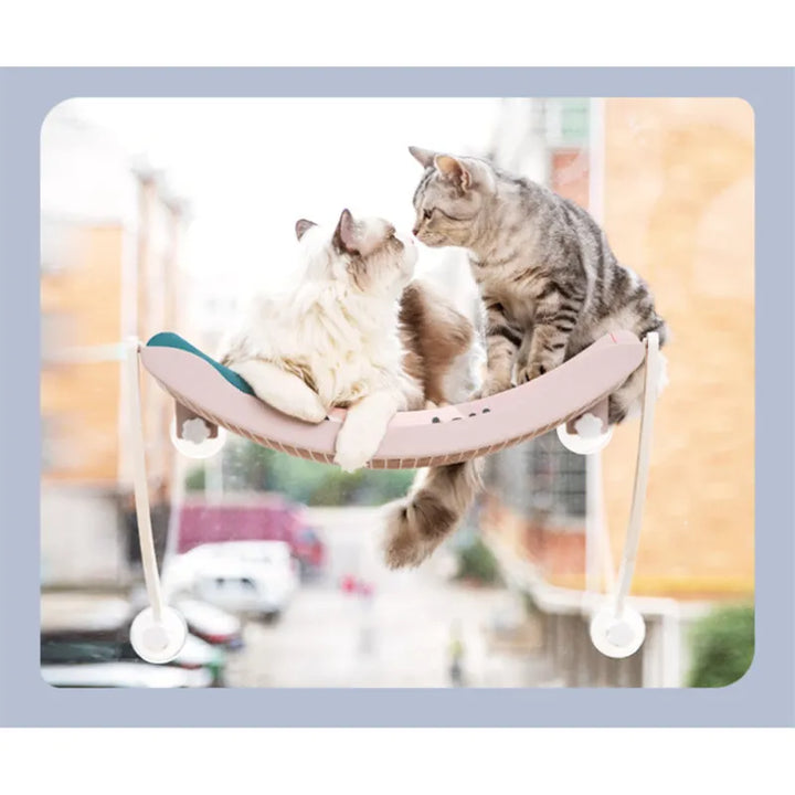 Fönsterhängmatta katt med sugkoppar. Enkel montering. Idealisk kattsäng och solplats för avkoppling.