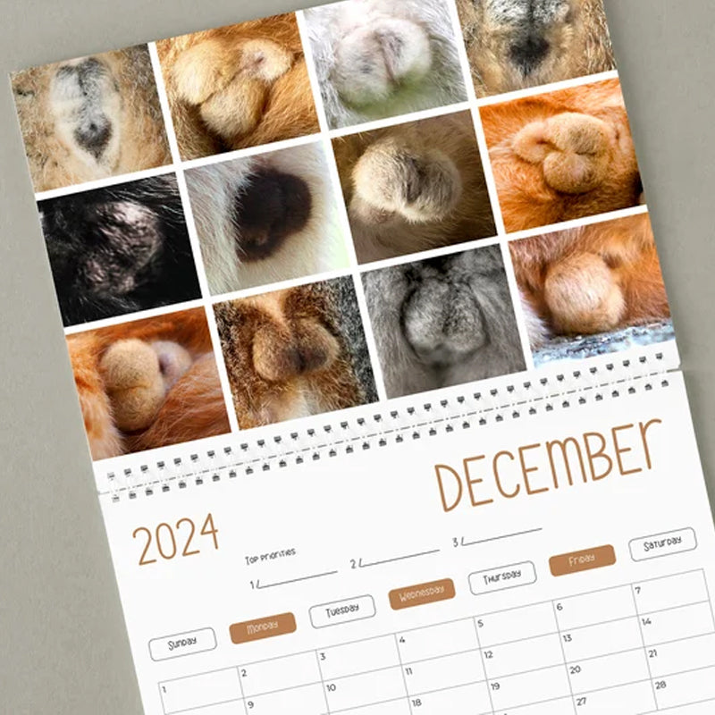 "Kattkalender 2024 med roliga kattmotiv, perfekt presentidé för kattälskare och humorentusiaster."