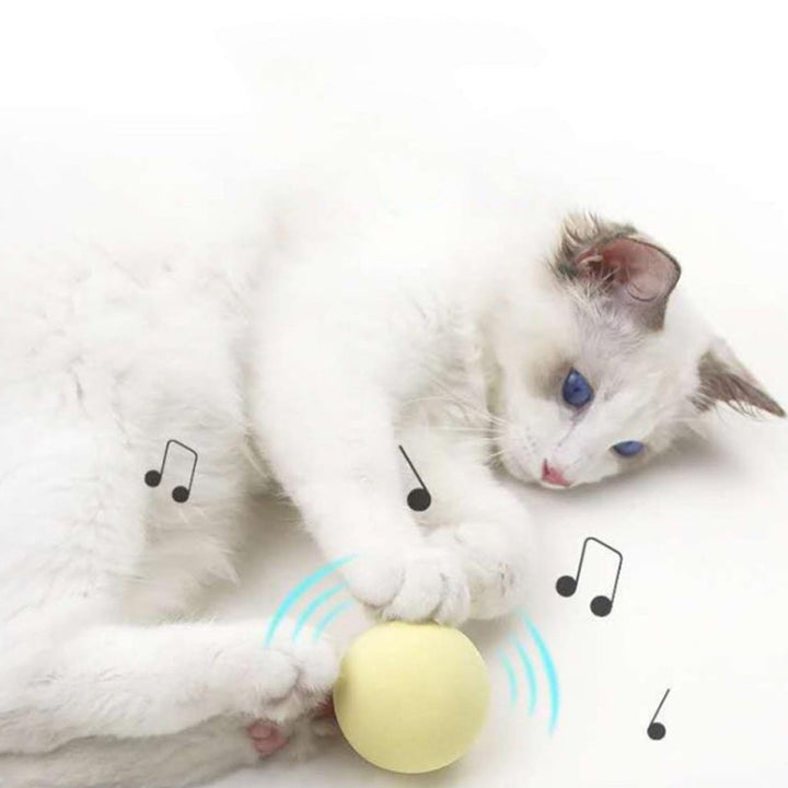 "Kattleksaksboll med ljud och kattmynta, färgglad design i Fluffy-material, stimulerar kattens lek och aktivitet"