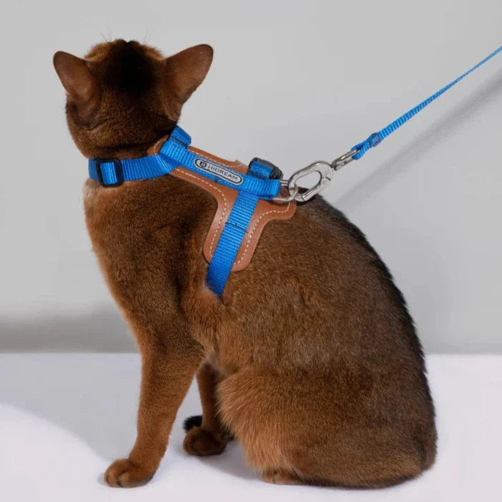 Bekväm och säker kattsele för katter, justerbar för alla storlekar.
