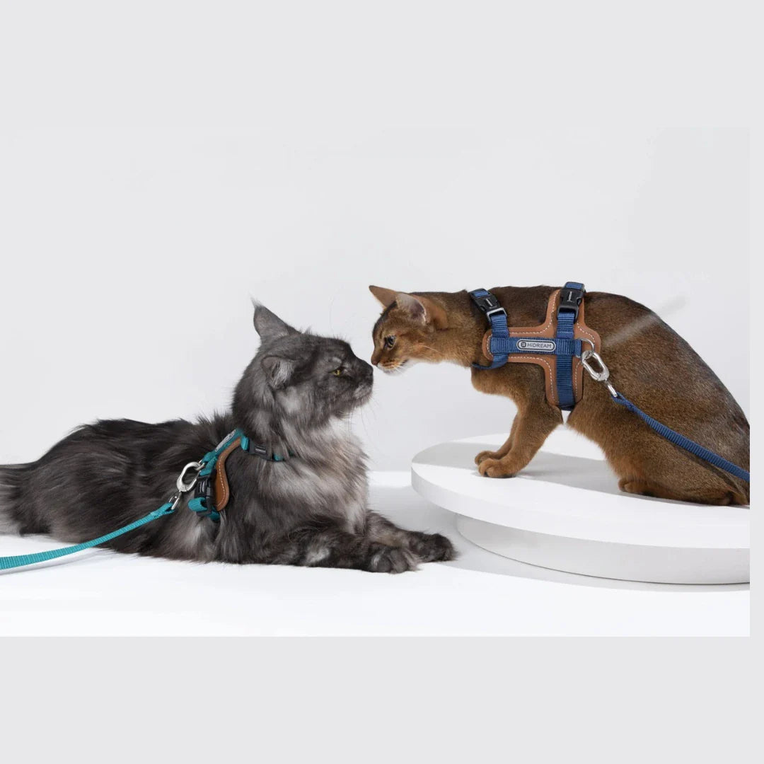 Ergonomisk kattsele med rymningssäker design, njut av promenader med din katt.