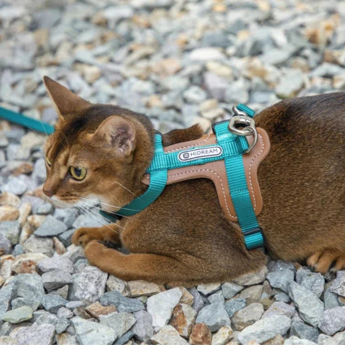 Set med kattsele och koppel för trygga utomhusäventyr med husdjuret.
