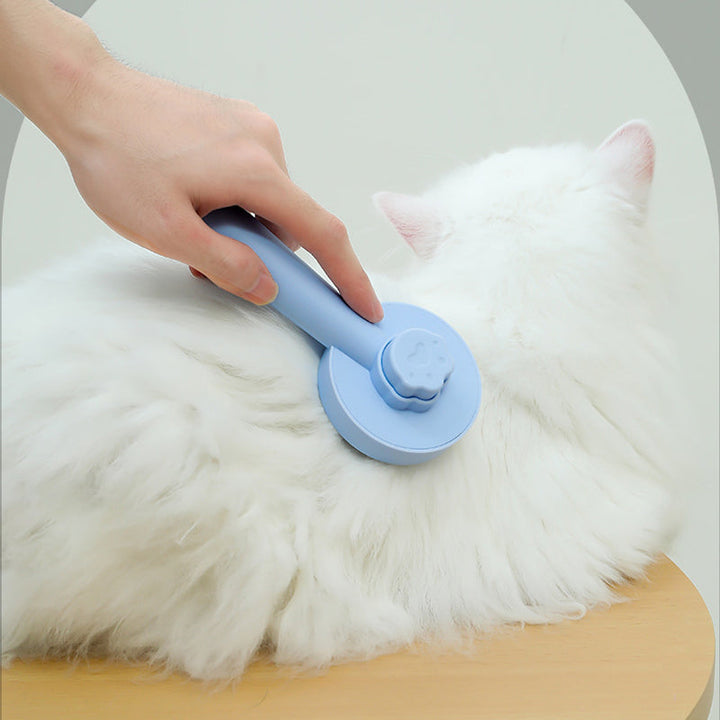 Kattvårdsborste för daglig skötsel, blå färg, ergonomisk design med rostfria stålborstpinnar för effektiv grooming.
