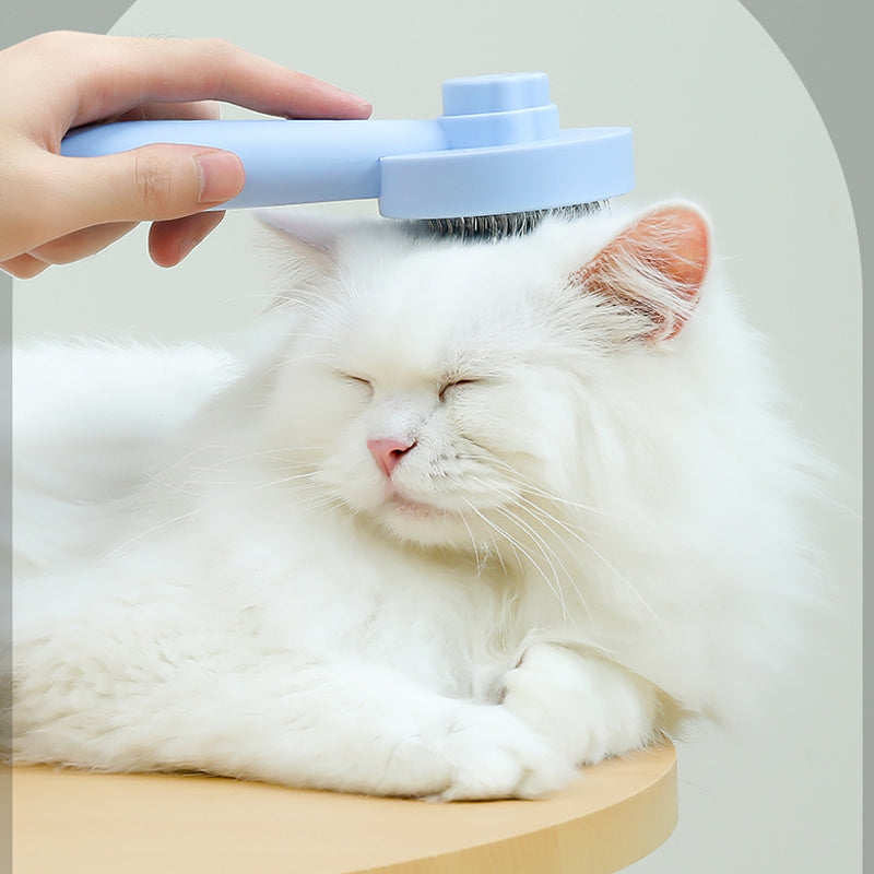 Kattvårdsborste för daglig skötsel, blå färg, ergonomisk design med rostfria stålborstpinnar för effektiv grooming.
