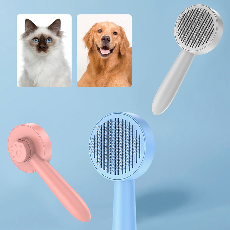 Kattvårdsborste för daglig skötsel, blå färg, ergonomisk design med rostfria stålborstpinnar för effektiv grooming.