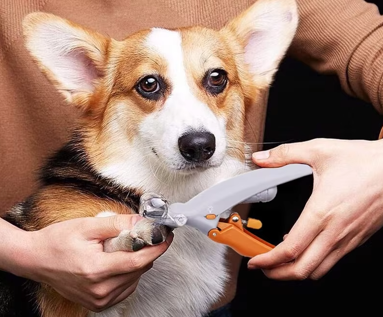 Kloklippare för hund & katt med LED-ljus & förstoring. Säker precision för husdjurs klor.