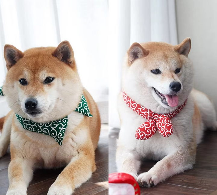 Blå kylande hundhalsduk med traditionellt mönster. Håller din hund sval och stilfull i sommar.