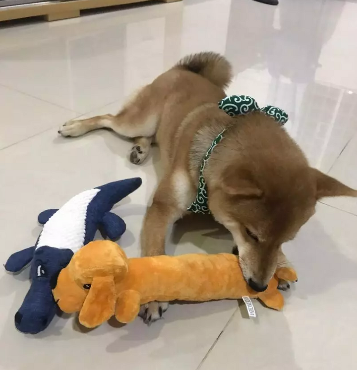 Svalkande hundtillbehör för din sommarhund. Denna kylande halsduk håller husdjur svalt och nöjt.