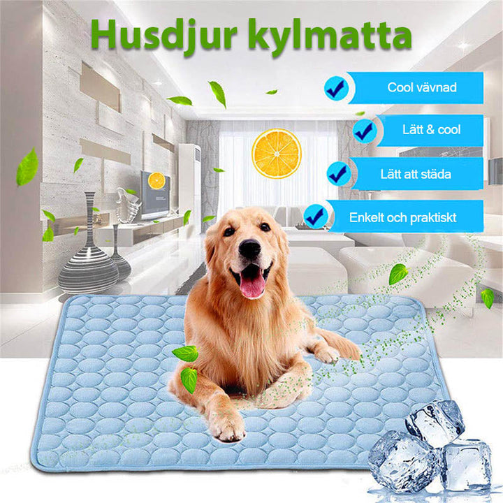"Kylplatta för husdjur med Ice-Tech, blå och rosa färger, mesh-inre, för hundar och katter. Håller djuren svala."