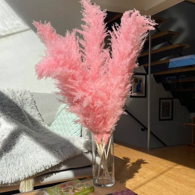 Boho-inspirerad dekoration med naturligt, långt pampasgräs. Långvarig skönhet för ditt hem.