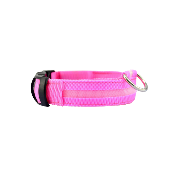 Säkerhets LED-halsband för hundar & katter. Ger trygghet och synlighet under mörka promenader. Uppladdningsbart.