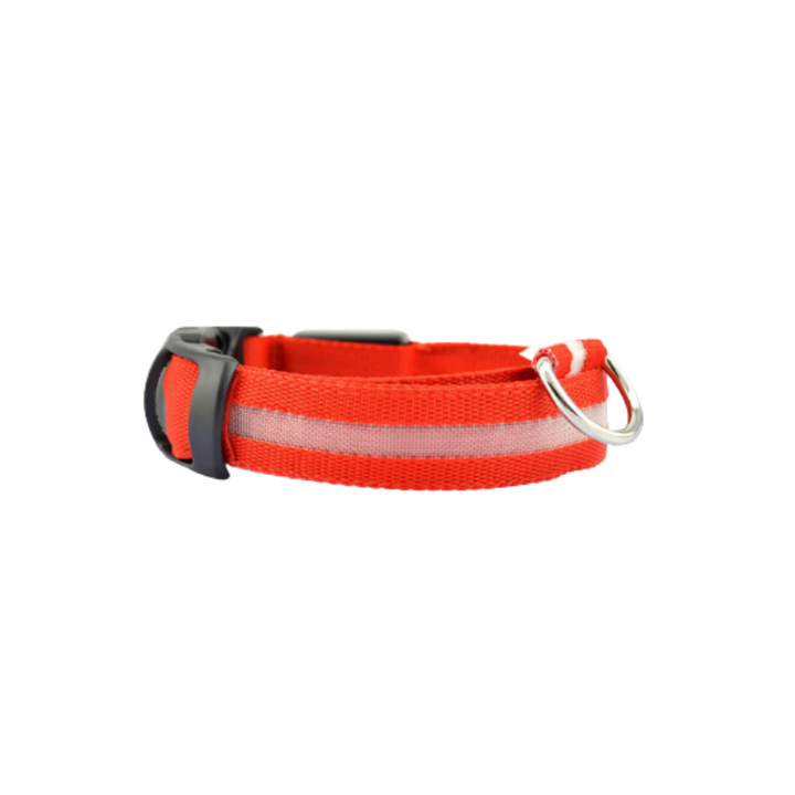 Hundhalsband med stark LED-belysning. Öka hundens synlighet och säkerhet vid promenader i mörker och skymning.