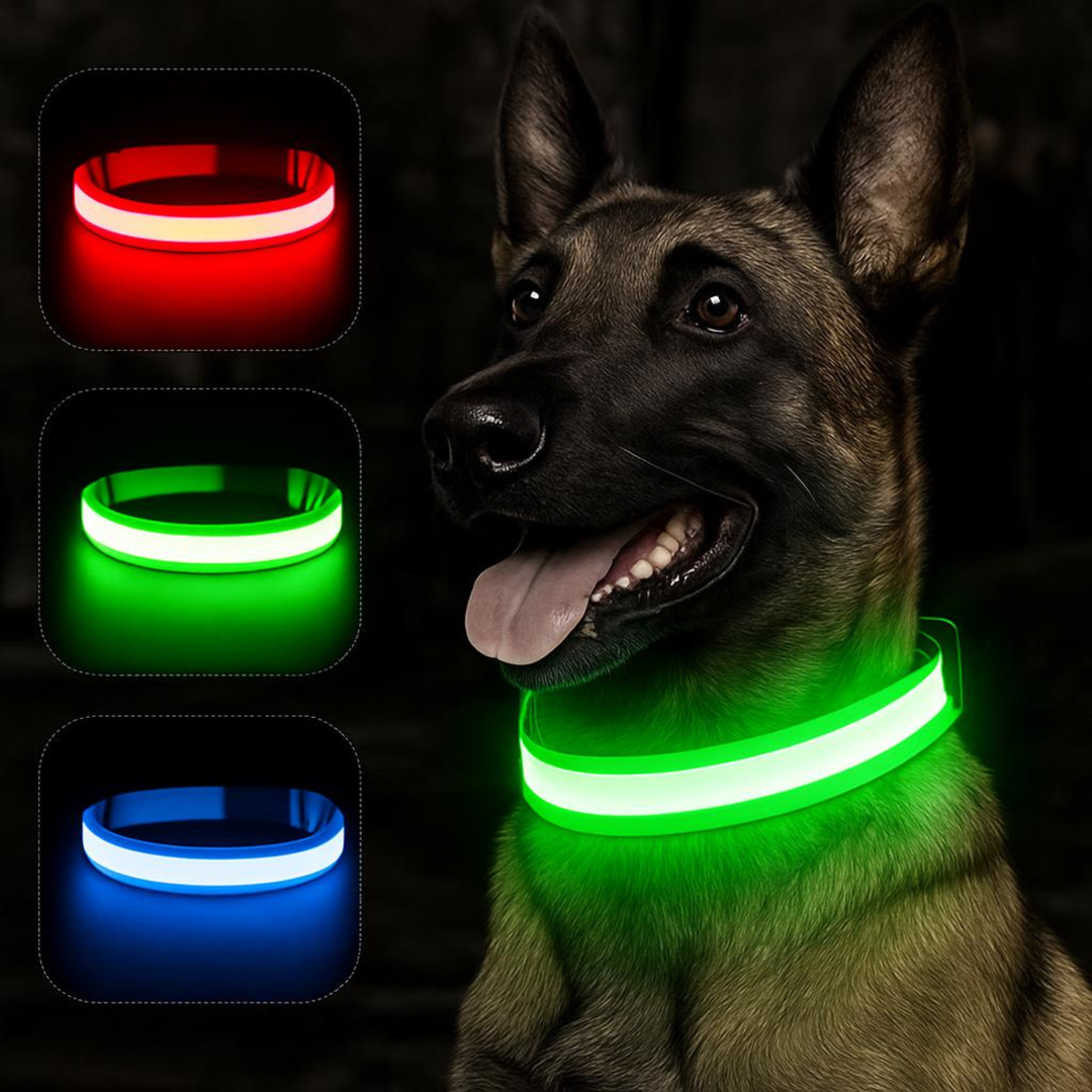 Uppladdningsbart LED-halsband för husdjur. Ljushalsband som gör hundar och katter synliga i mörker för säkerhet.