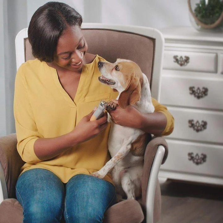 "LED-belyst nagelklippare för husdjur med rostfria stålblad och inbyggd nagelfil, idealisk för hundar och katter."