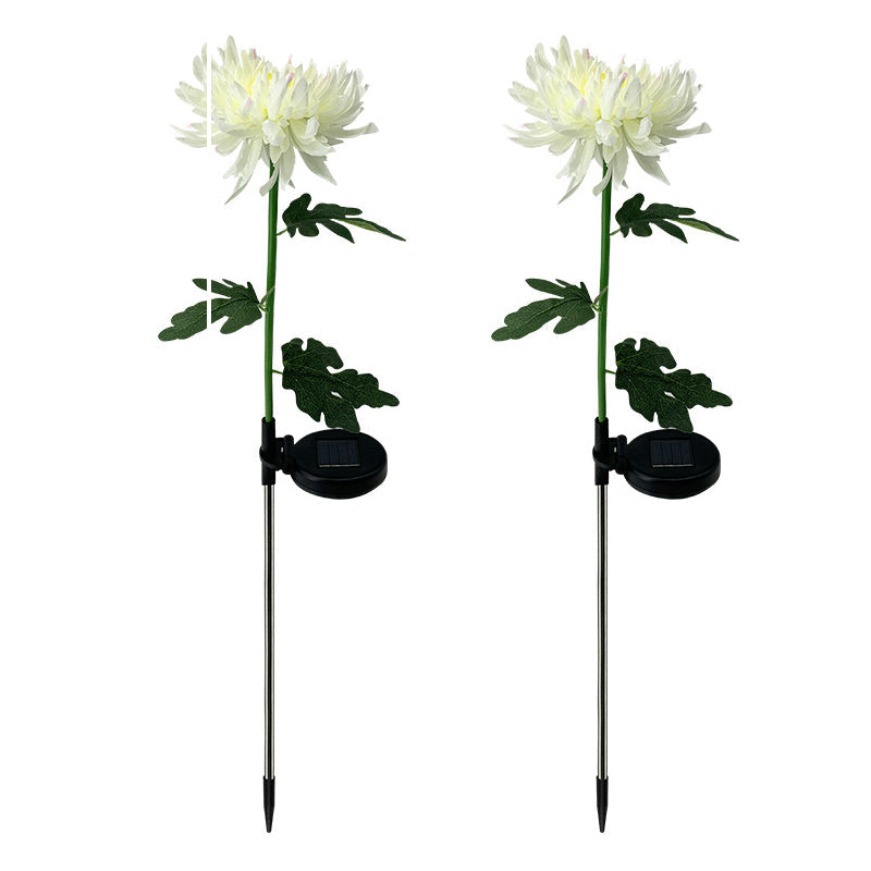 "LED krysantemum soldriven lampa, färgskiftande blomdesign, skapar magisk atmosfär, vattentät IP55 för utomhusbruk."