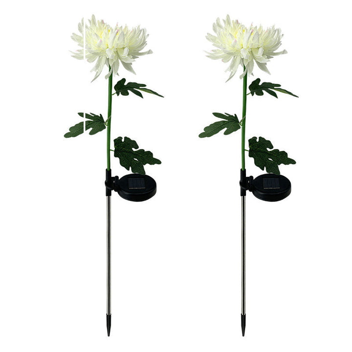 "LED krysantemum soldriven lampa, färgskiftande blomdesign, skapar magisk atmosfär, vattentät IP55 för utomhusbruk."