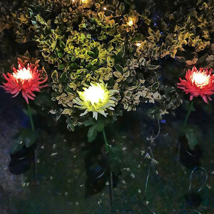 "LED krysantemum soldriven lampa, färgskiftande blomdesign, skapar magisk atmosfär, vattentät IP55 för utomhusbruk."