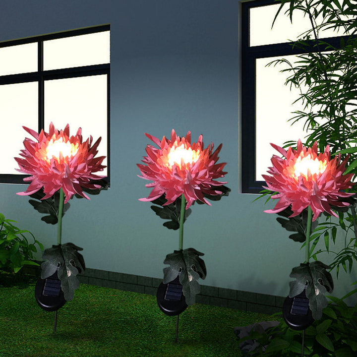 "LED krysantemum soldriven lampa, färgskiftande blomdesign, skapar magisk atmosfär, vattentät IP55 för utomhusbruk."