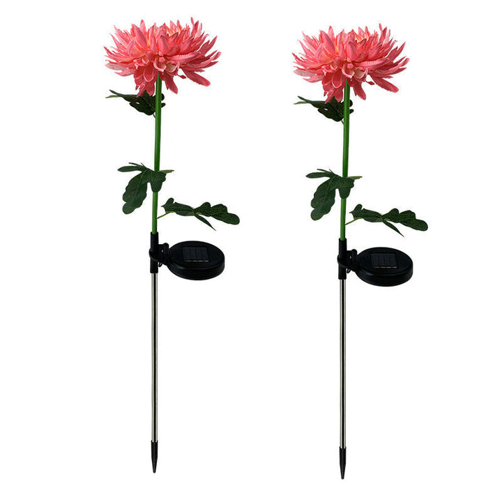 "LED krysantemum soldriven lampa, färgskiftande blomdesign, skapar magisk atmosfär, vattentät IP55 för utomhusbruk."