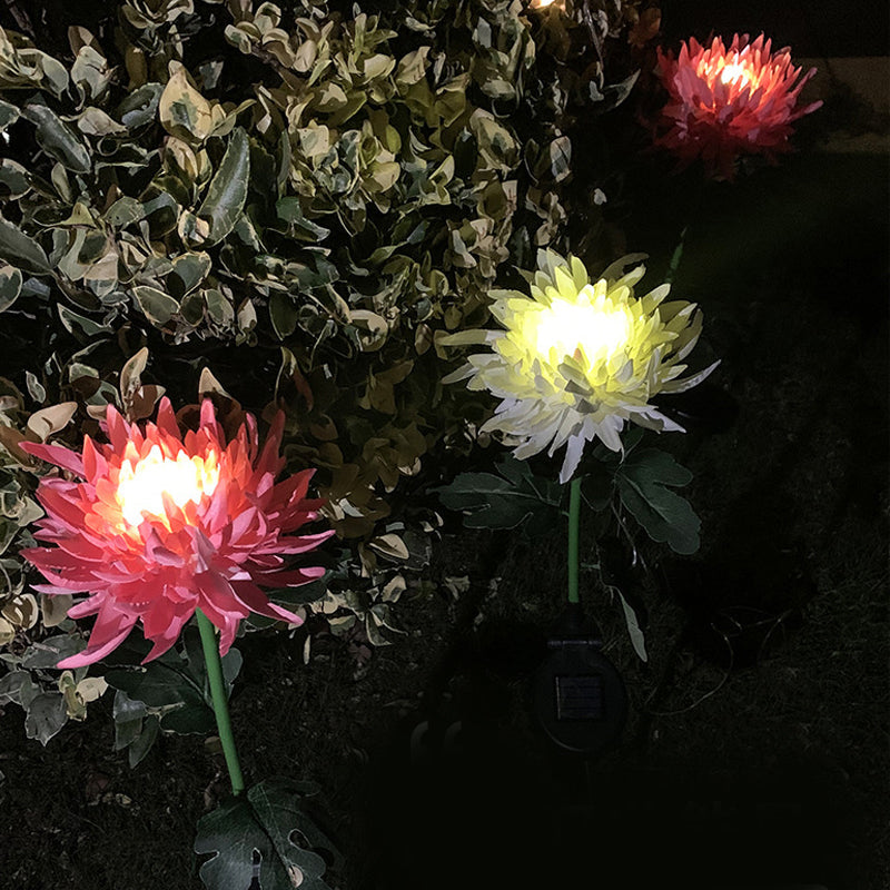 "LED krysantemum soldriven lampa, färgskiftande blomdesign, skapar magisk atmosfär, vattentät IP55 för utomhusbruk."
