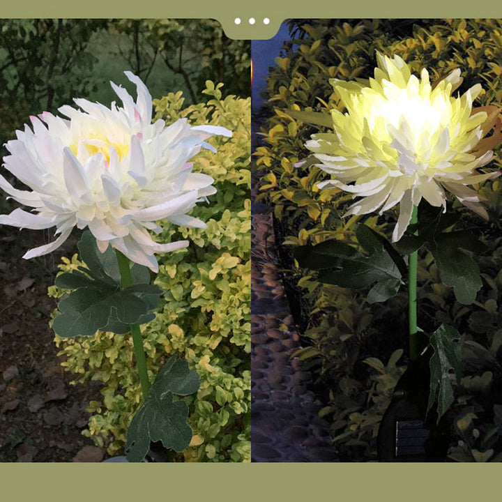 "LED krysantemum soldriven lampa, färgskiftande blomdesign, skapar magisk atmosfär, vattentät IP55 för utomhusbruk."